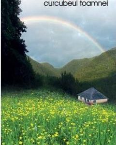 Curcubeul toamnei - Grigore Olimp Ioan